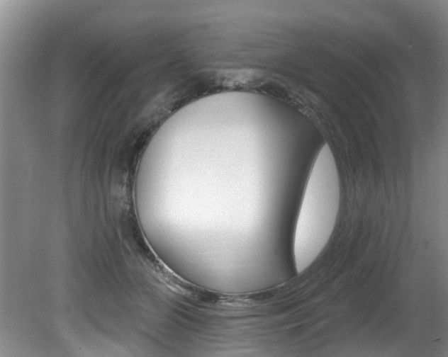 X0000079310510200611170858