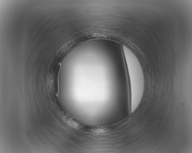 X0000079310513200611170858