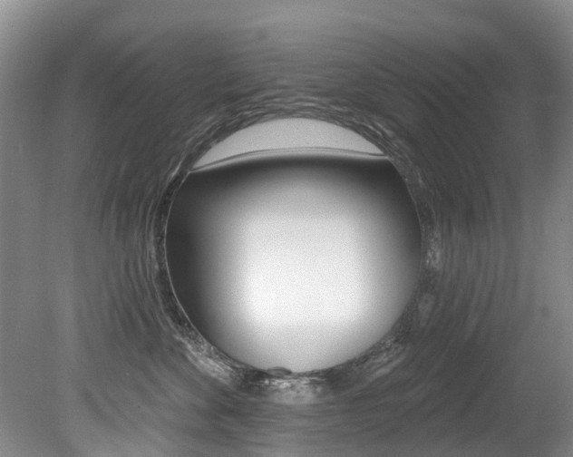 X0000079310524200611170858