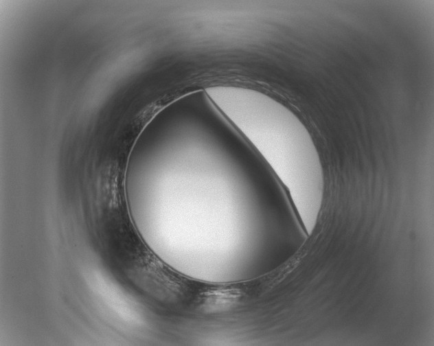 X0000079310525200611170858