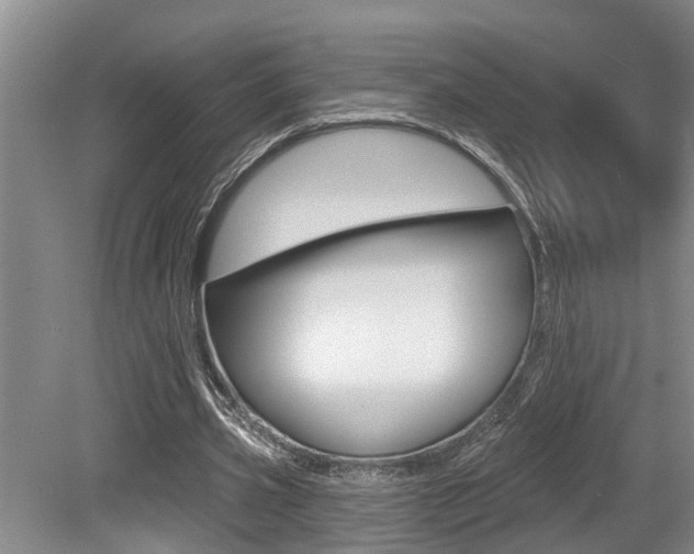 X0000079310533200611170857