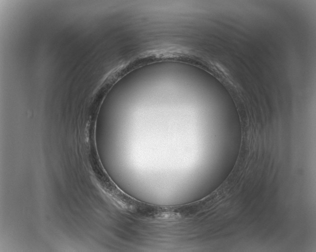 X0000079310543200611170857
