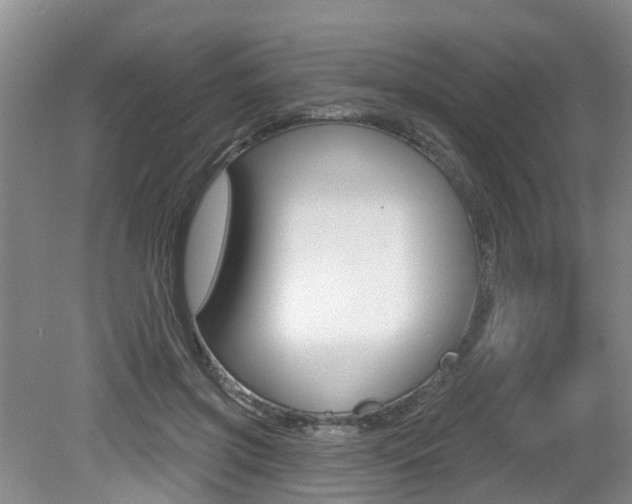X0000079310549200611170857