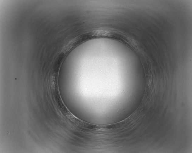 X0000079310551200611170857