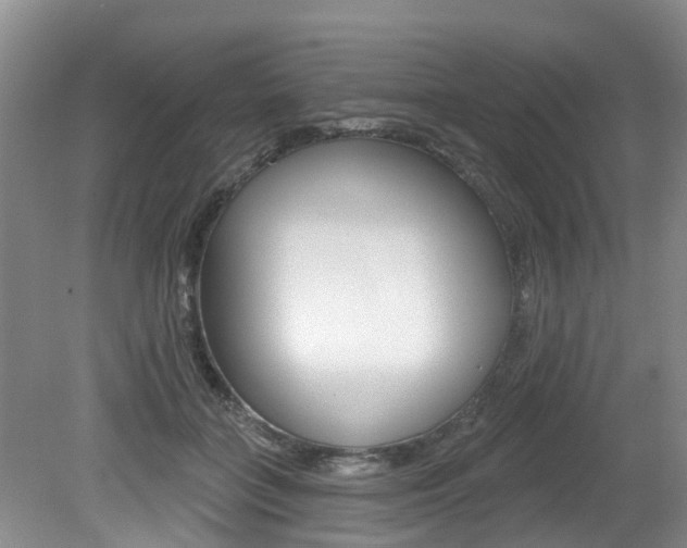 X0000079310555200611170857