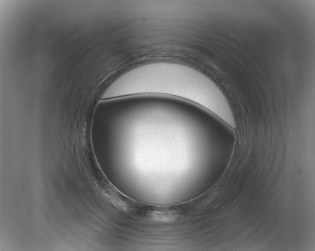 X0000079310556200611170857