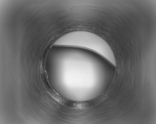 X0000079310564200611170858