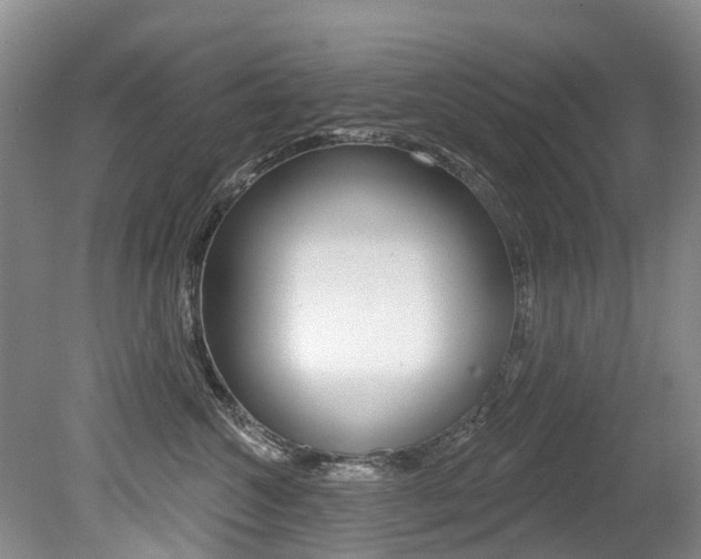 X0000079310572200611170858