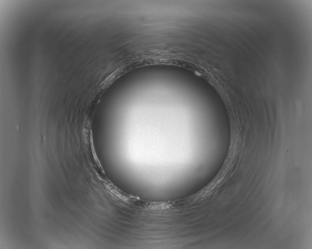 X0000079310576200611170858