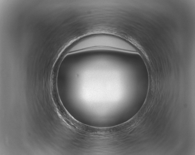 X0000079310580200611170857