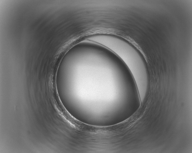 X0000079310581200611170857