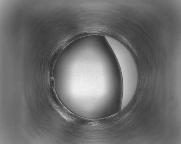 X0000079310589200611170857