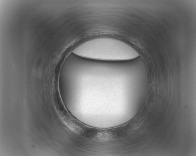 X0000079310591200611170857