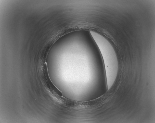 X0000079310593200611170857
