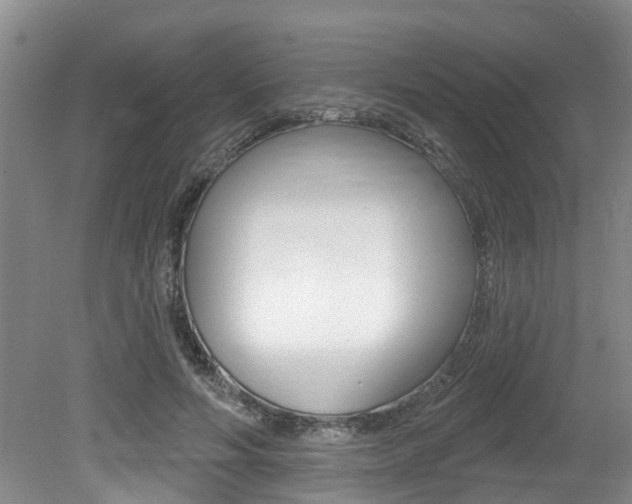 X0000079310594200611170857