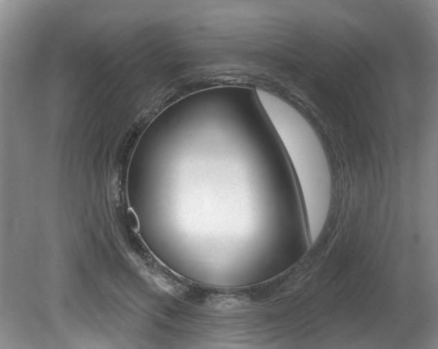 X0000079310597200611170857