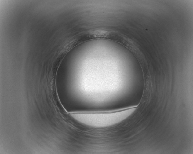 X0000079310604200611170857