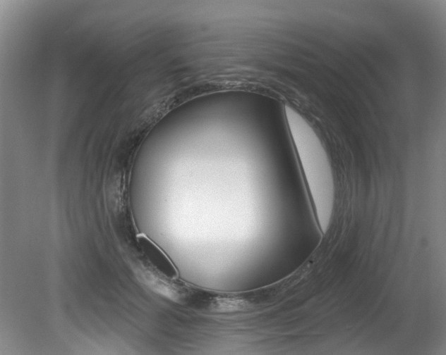 X0000079310605200611170857