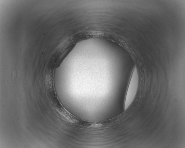 X0000079310609200611170856