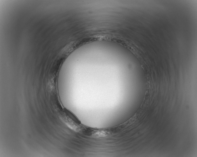 X0000079310611200611170856