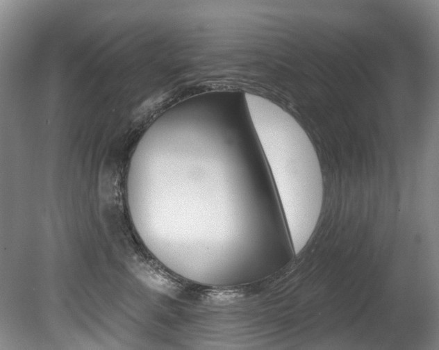 X0000079310619200611170856
