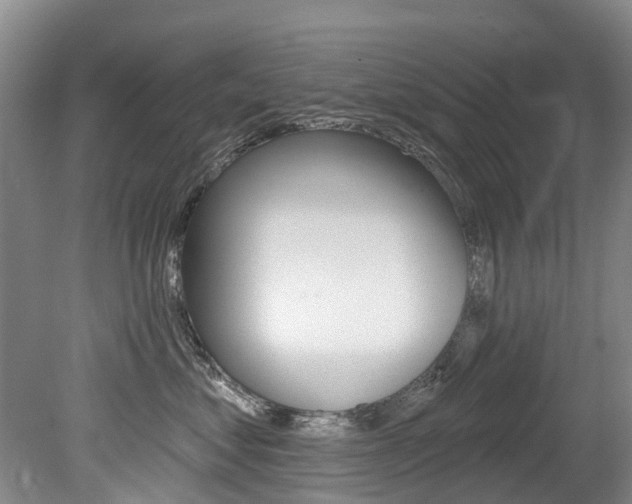 X0000079310621200611170856