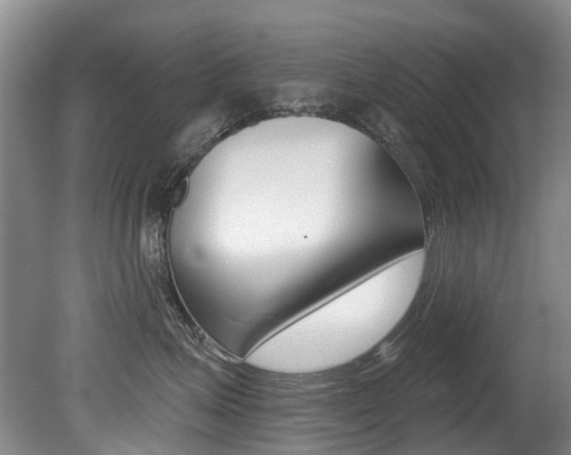 X0000079310623200611170856