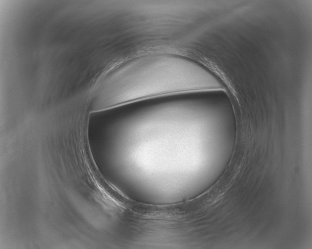 X0000079310625200611170855
