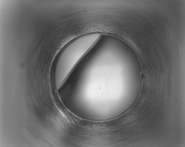 X0000079310626200611170855