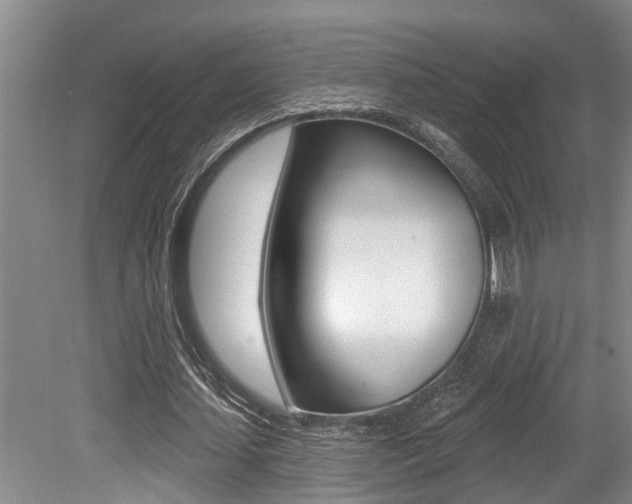 X0000079310627200611170855