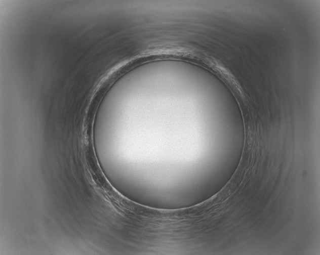 X0000079310628200611170855