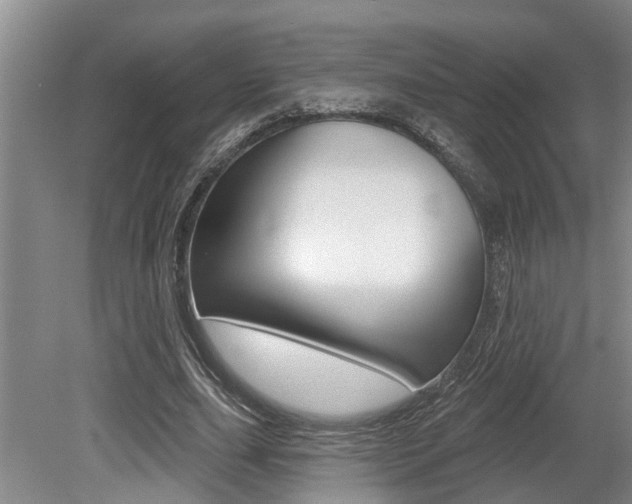 X0000079310631200611170856