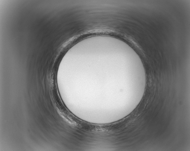 X0000079310632200611170856