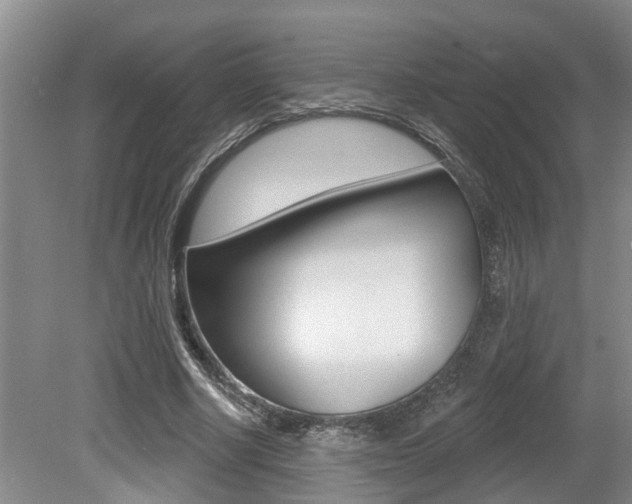 X0000079310634200611170856