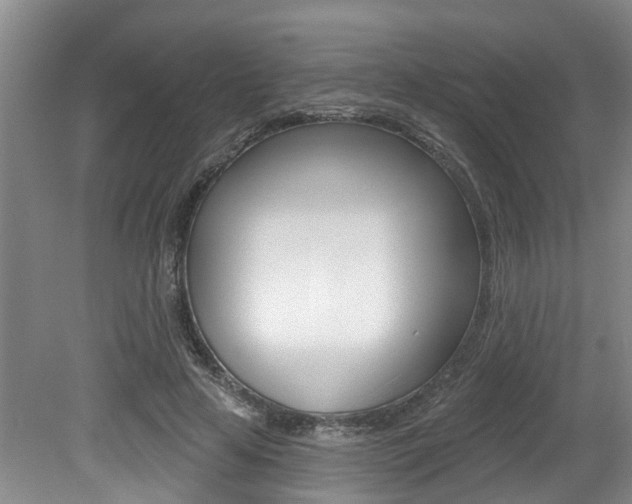 X0000079310641200611170856