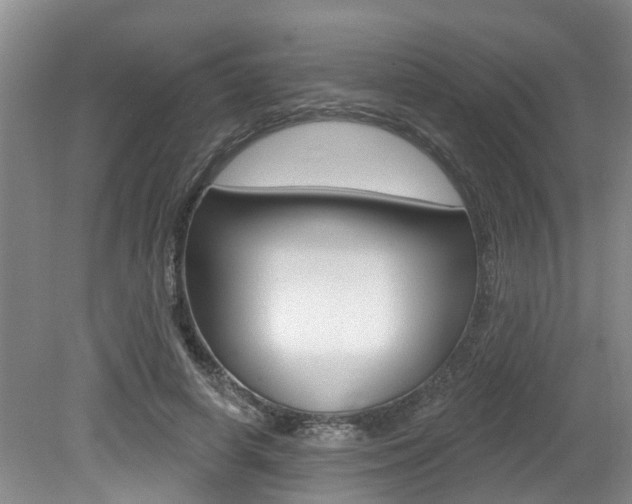 X0000079310642200611170856