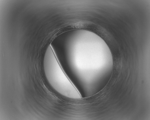 X0000079310645200611170856
