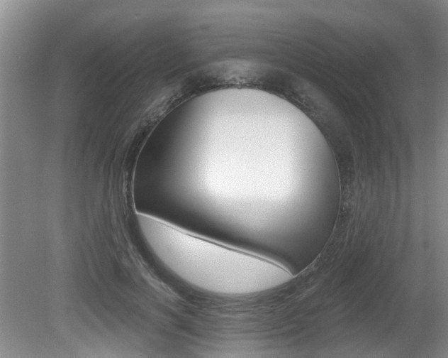 X0000079310646200611170856