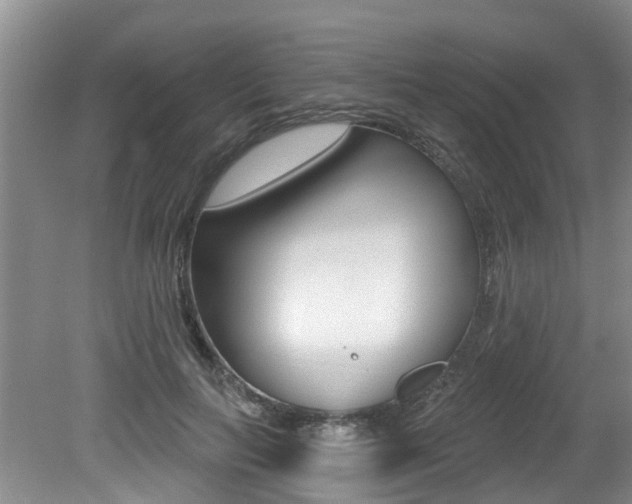 X0000079310647200611170856
