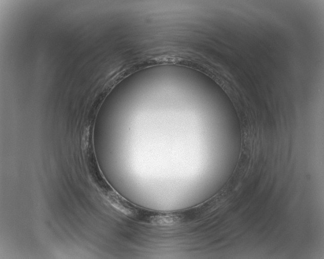 X0000079310652200611170856