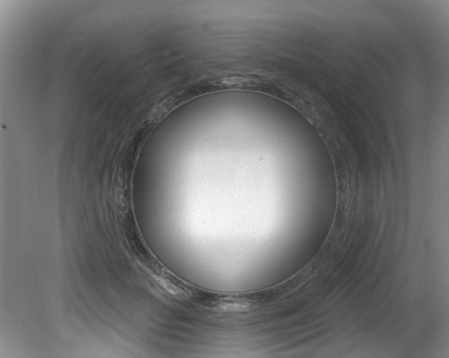 X0000079310653200611170856