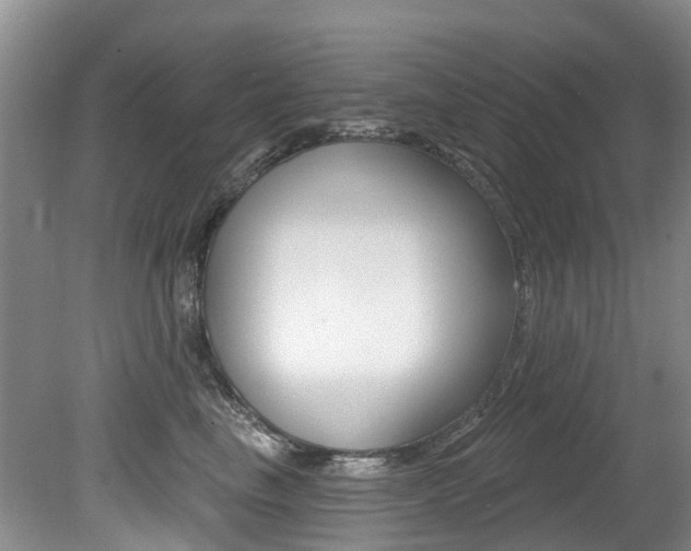 X0000079310665200611170856