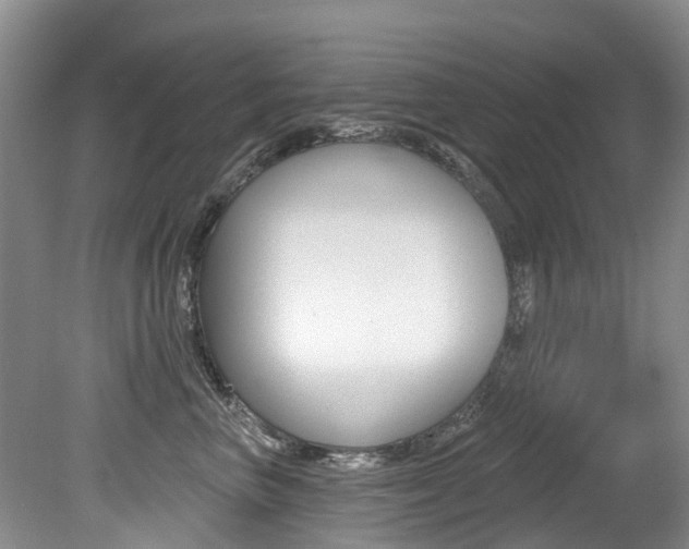 X0000079310667200611170856