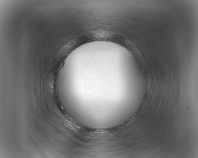X0000079310668200611170856
