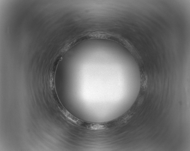 X0000079310669200611170856
