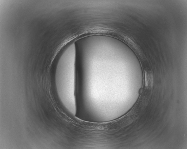 X0000079310675200611170855