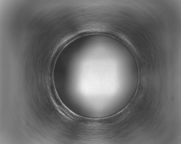 X0000079310677200611170855