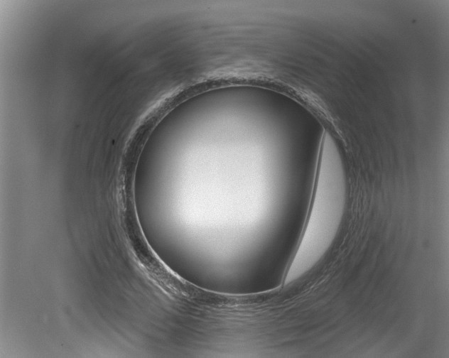 X0000079310680200611170855