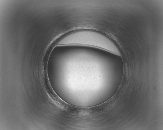 X0000079310684200611170855