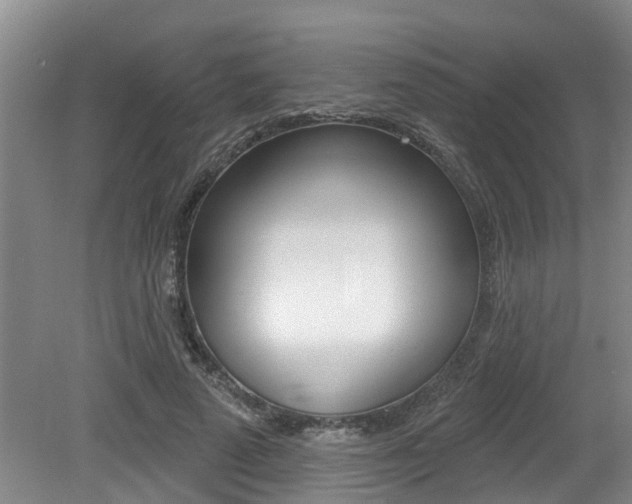 X0000079310689200611170855